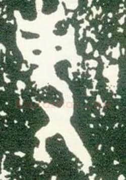 事毛笔大篆写法,摘自西周大盂鼎