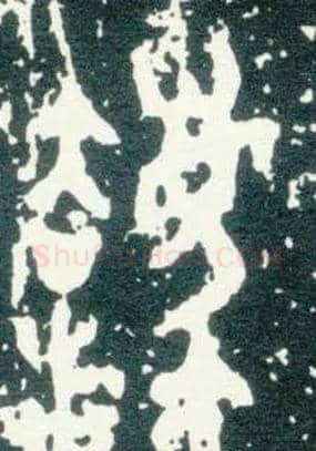 灋毛笔大篆写法,摘自西周大盂鼎