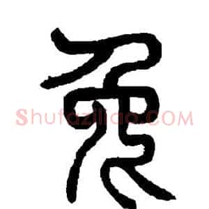 兔