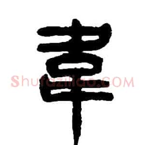 韦