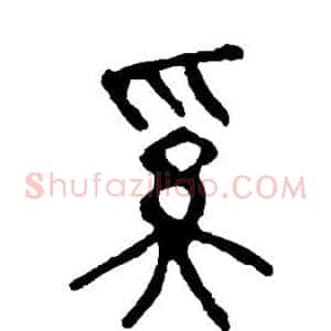 奚