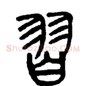 习