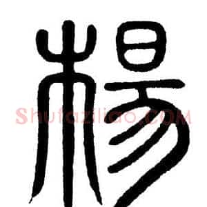 杨