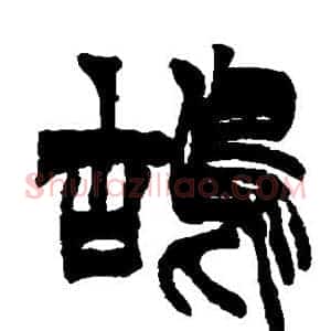 鸪