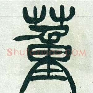 董