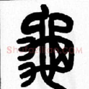 龜