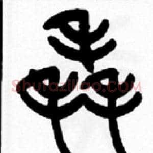 毳