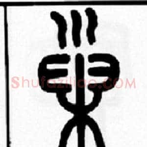 巢