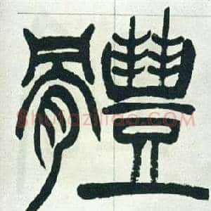 體