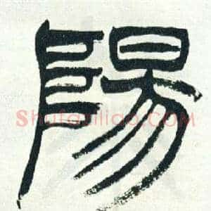 陽