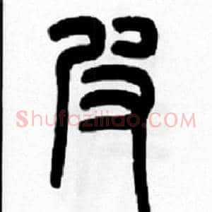 皮