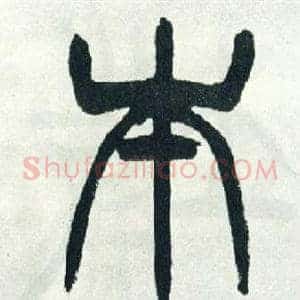 本