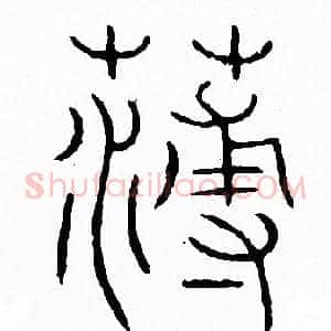 薄