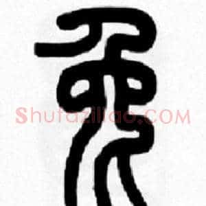 兔
