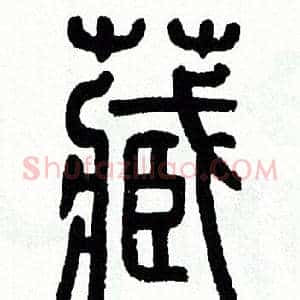 藏