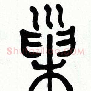 巢