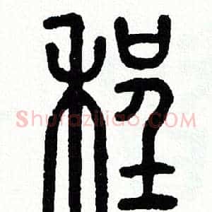 程