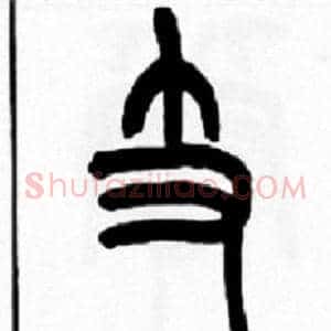支