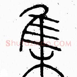 集