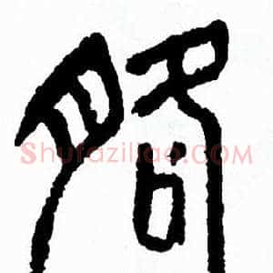 胳