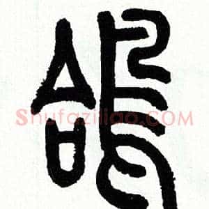 鸽