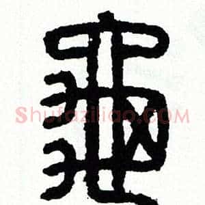 龜