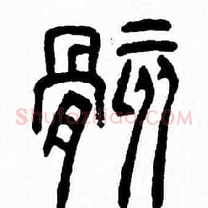 骸