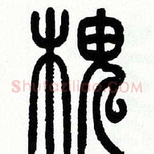 槐