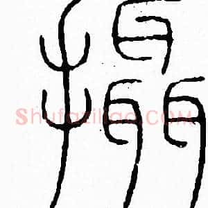 攝
