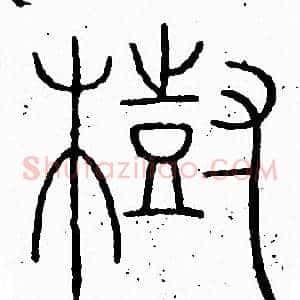 樹