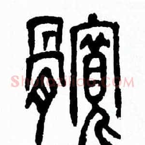 髋