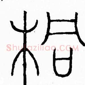 桐