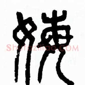 姥