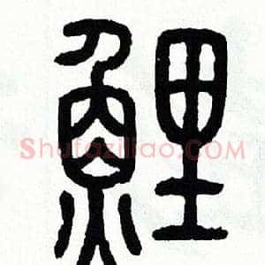 鲤