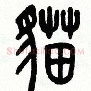 貓