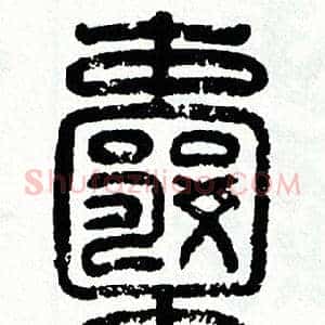 囊