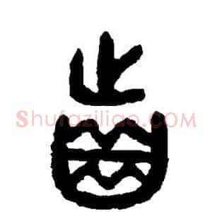 齿