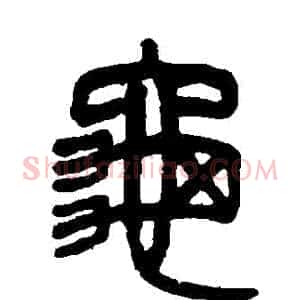 龜