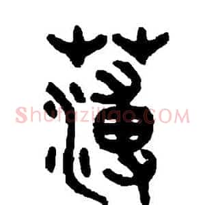 薄