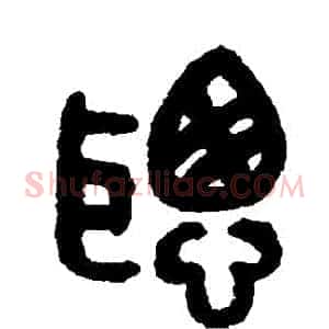 聰