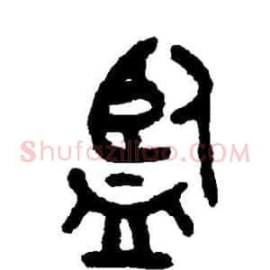 监