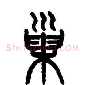 巢