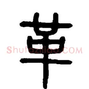 革