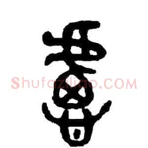 慮