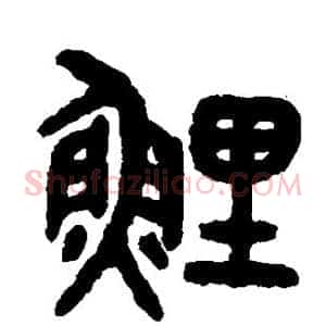 鲤