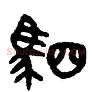 驷