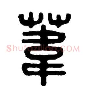 苇