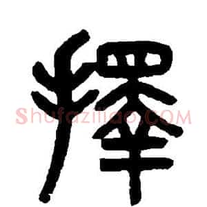 择