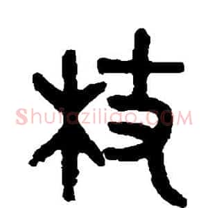 杖