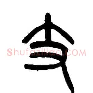 支